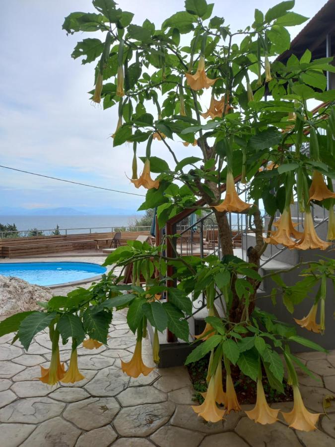 Apartament Seven Keys Luxury Suites *